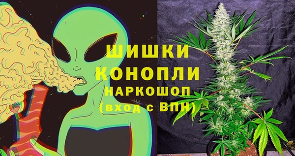 молекула духа Вязьма