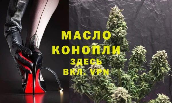 молекула духа Вязьма