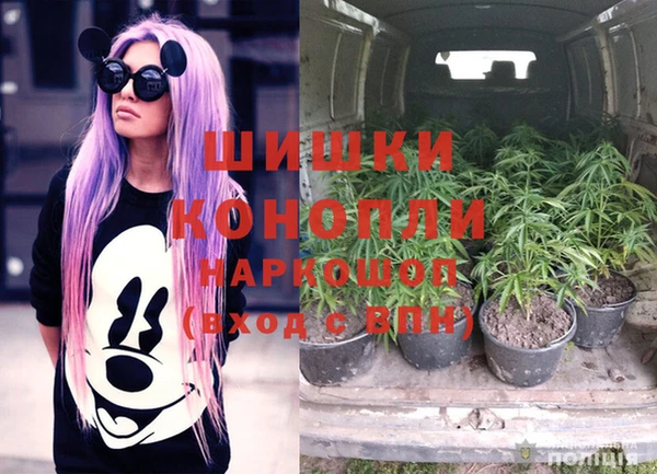 молекула духа Вязьма