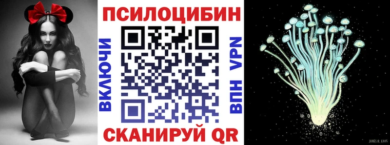 продажа наркотиков  ОМГ ОМГ онион  Галлюциногенные грибы Psilocybine cubensis  это телеграм  Северск 